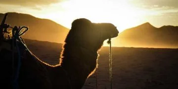 Vietnam visa on arrival for Nigerien citizens