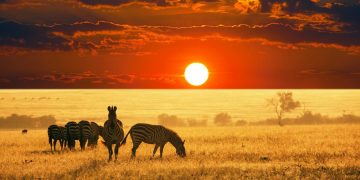 Vietnam visa on arrival for Somali citizens