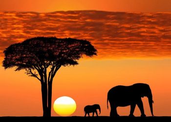 Vietnam visa on arrival for Tanzanian citizens