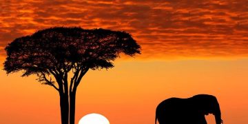 Vietnam visa on arrival for Tanzanian citizens