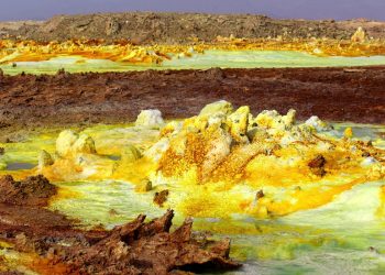 Vietnam visa on arrival for Zambian citizens