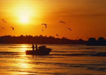 Vietnam visa requirements for Chadian citizens