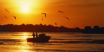 Vietnam visa requirements for Chadian citizens