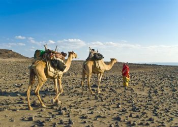 Vietnam visa requirements for Djiboutian