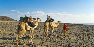 Vietnam visa requirements for Djiboutian