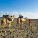 Vietnam visa requirements for Djiboutian
