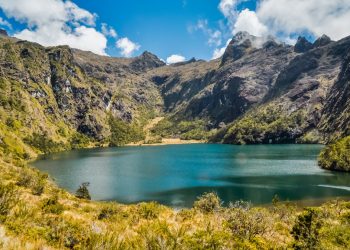 Vietnam visa requirements for Guinean citizens