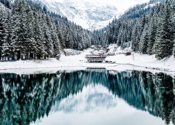 Vietnam visa requirements for Liechtenstein citizens