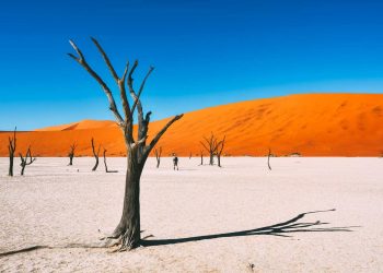 Vietnam visa requirements for Namibian citizens