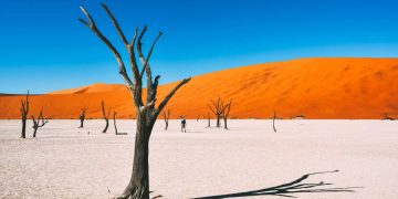 Vietnam visa requirements for Namibian citizens