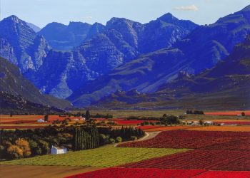 Vietnam visa requirements for Nigerian citizens