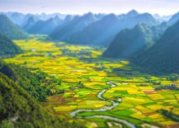 Vietnam visa requirements for Rwandan citizens