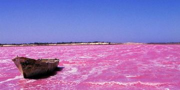 Vietnam visa requirements for Senegalese citizens