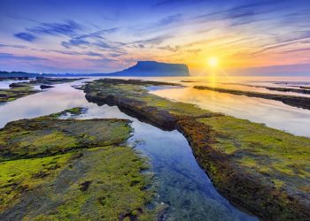 Vietnam visa requirements for Sierra Leonean citizens