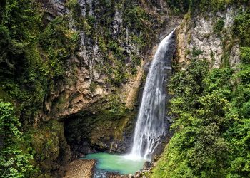 How to apply for a Vietnam business visa from Dominica