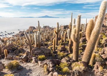 How to apply for a Vietnam tourist visa from Bolivia