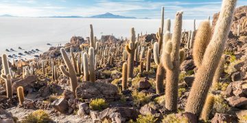 How to apply for a Vietnam tourist visa from Bolivia