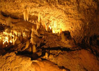 Vietnam visa on arrival for Barbadian citizens