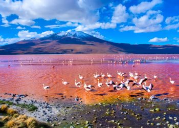 Vietnam visa on arrival for Bolivian citizens