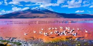 Vietnam visa on arrival for Bolivian citizens