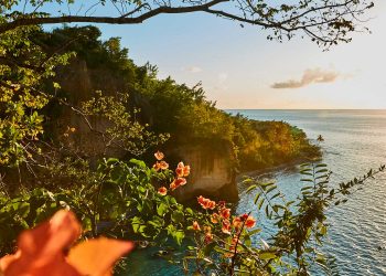 Vietnam visa on arrival for Dominica citizens