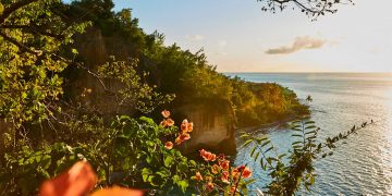 Vietnam visa on arrival for Dominica citizens