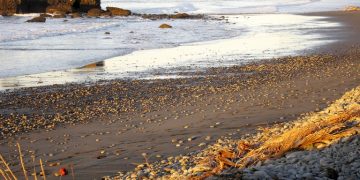 Vietnam visa on arrival for El Salvador citizens