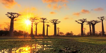 Vietnam visa requirements for Malagasy citizens