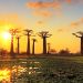 Vietnam visa requirements for Malagasy citizens