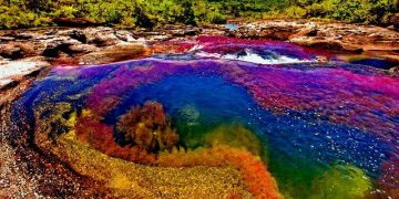 How to apply for a Vietnam tourist visa from Colombia