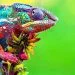 How to apply for a tourist visa from Madagascar