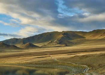 How to apply for a Vietnam business visa from Mongolia