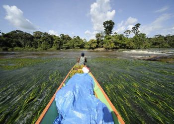 How to apply for a Vietnam business visa from Suriname