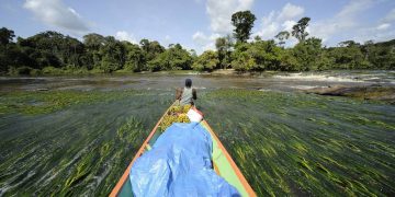 How to apply for a Vietnam business visa from Suriname