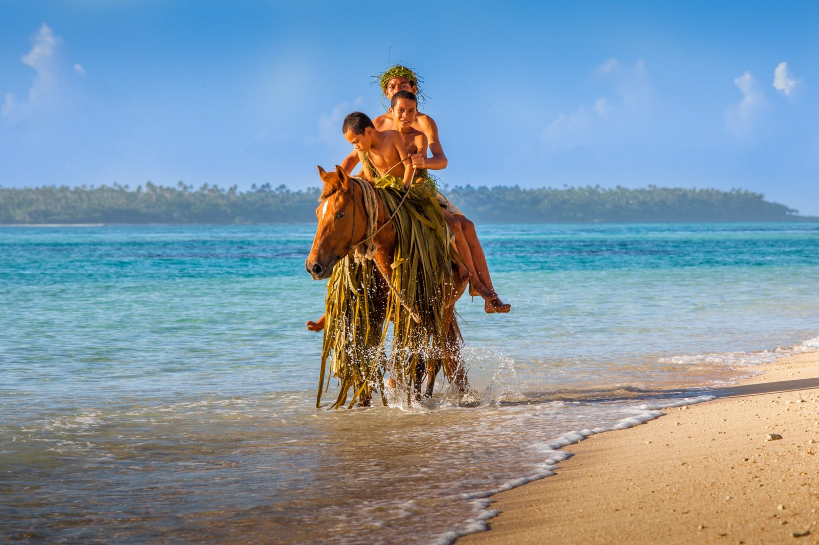 How To Apply For A Vietnam Business Visa From Tonga Guides Fees how-to-apply-for-a-vietnam-business-visa-from-tonga-guides-fees