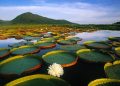 How to apply for a Vietnam tourist visa from Guyana