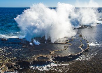 How to apply for a Vietnam tourist visa from Tonga