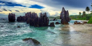 Vietnam visa requirements for Nauruan citizens