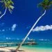 Vietnam visa requirements for Samoan citizens