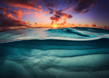 Vietnam visa requirements for Tongan citizens