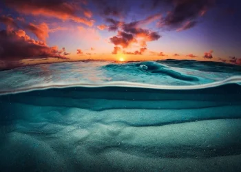 Vietnam visa requirements for Tongan citizens