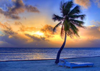 How to apply for a Vietnam tourist visa from Belize