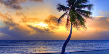 How to apply for a Vietnam tourist visa from Belize