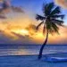 How to apply for a Vietnam tourist visa from Belize