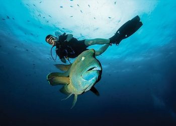 How to apply for a Vietnam tourist visa from Palau