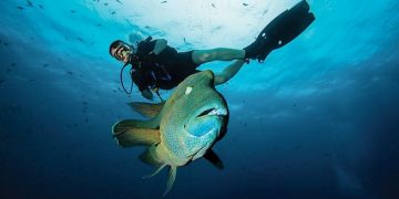 How to apply for a Vietnam tourist visa from Palau