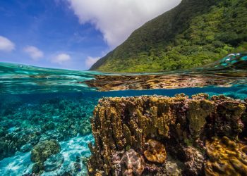 How to apply for a Vietnam tourist visa from Samoa