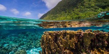 How to apply for a Vietnam tourist visa from Samoa