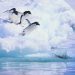 Vietnam business visa in Antarctica