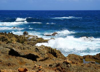 How to apply for a Vietnam business visa in Aruba